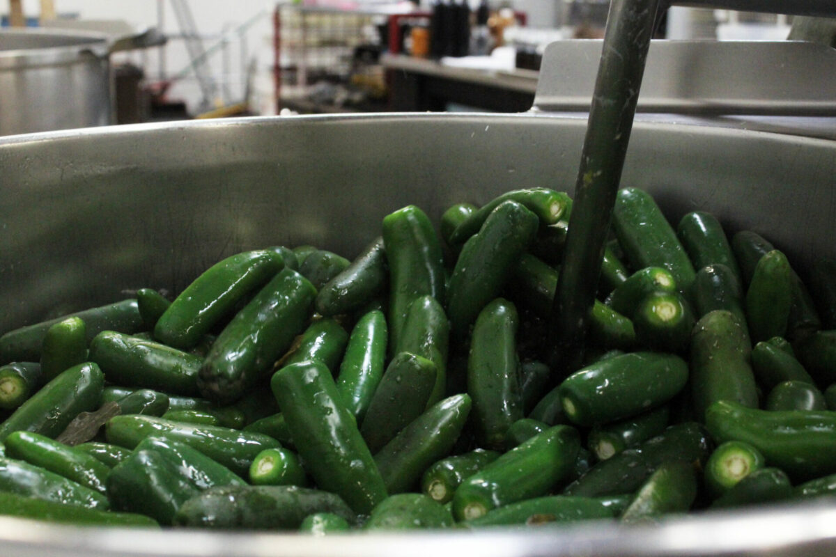 Peppers in a large industrial vat