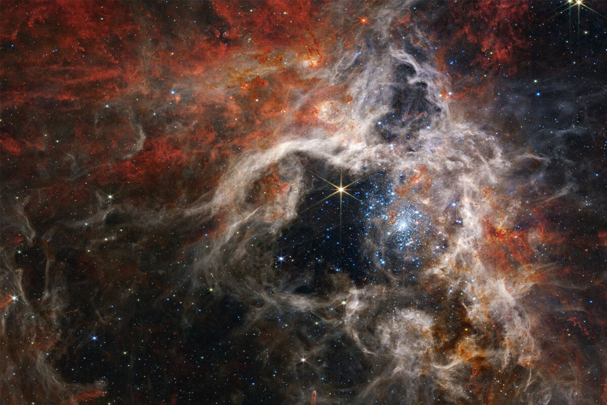 Cosmic Tarantula