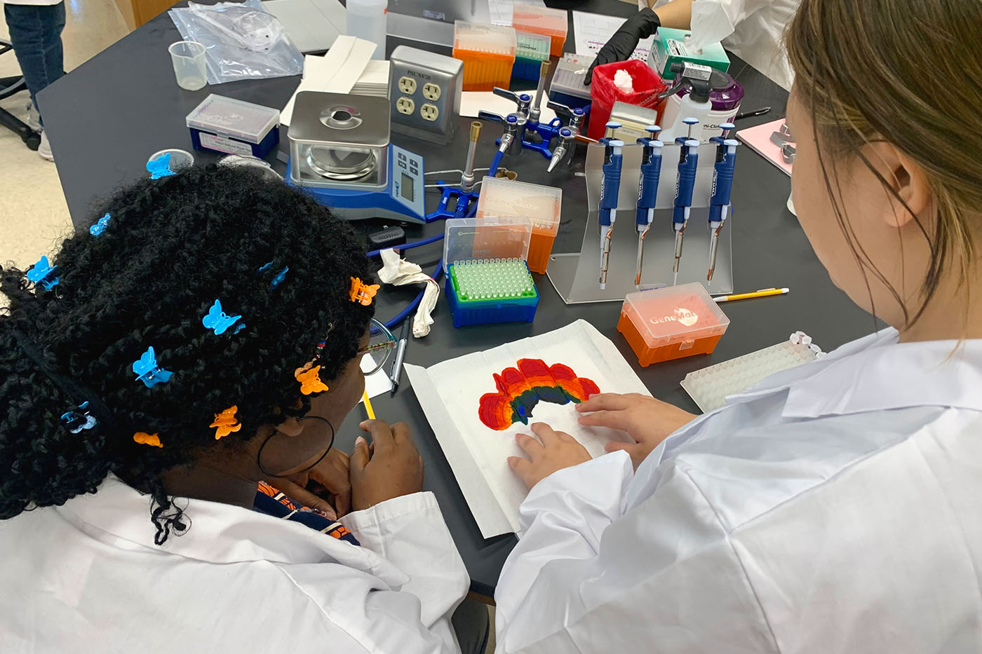 Students pipette the rainbow