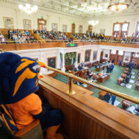 Rowdy watches the Texas Legislature from a seat in the balcony