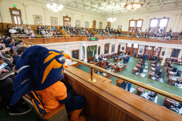 Rowdy watches the Texas Legislature from a seat in the balcony