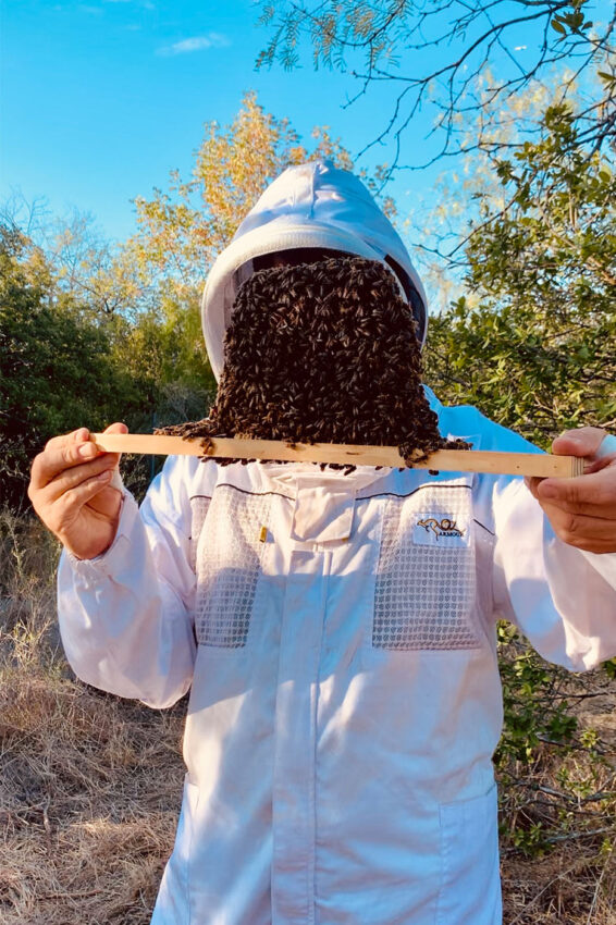 Ferhat Ozturk holds up a honey comb completely enveloped by bees