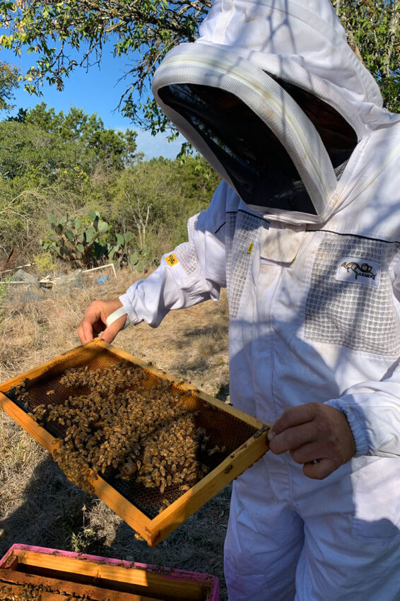Ferhat Ozturk examines the bees on an apiary beehive