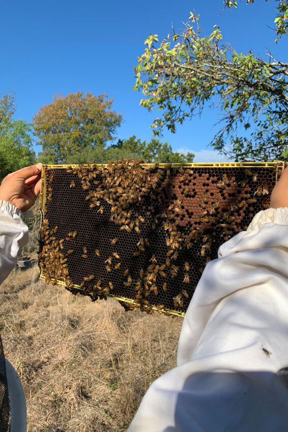 Ferhat Ozturk holds up an apiary beehive