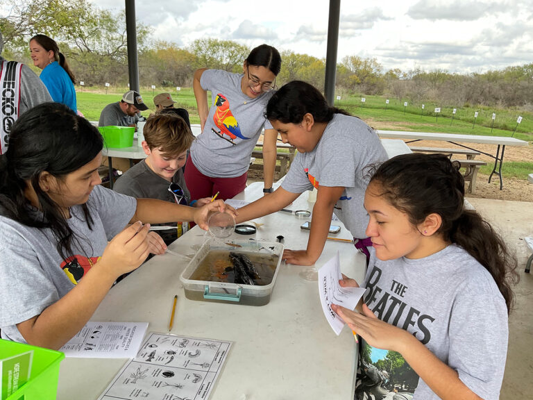 A group of students conduct research.