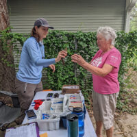 Two women look at a Northern Cardinal.