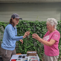 Two women look at a Northern Cardinal.