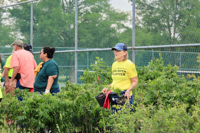 A woman in a highlighter yellow shirt holds two young trees.