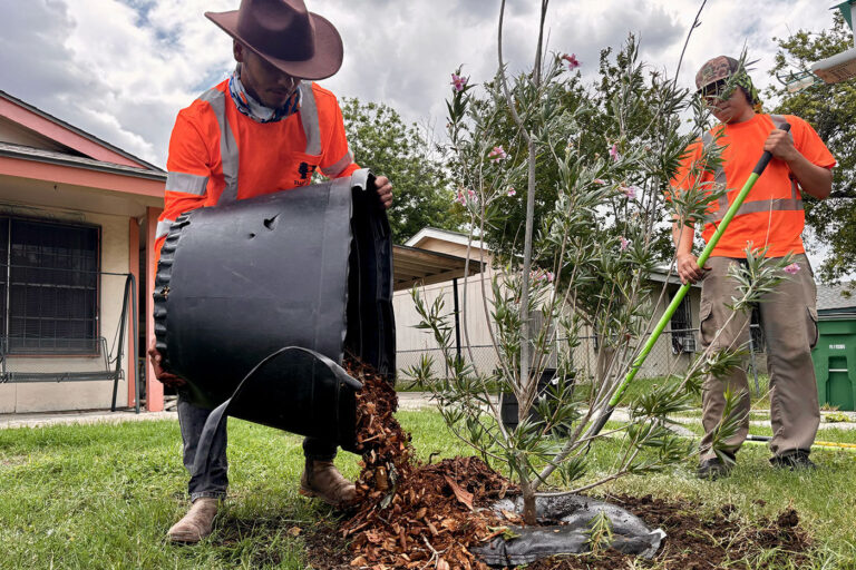 One man pours a bucket of brown mulch on the ground as another uses a shovel to spread it out.