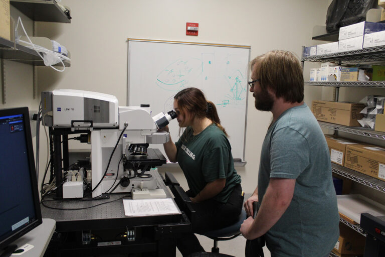 A woman looks into a microscope. A man holds onto the headrest of a chair as he stands beside the woman.
