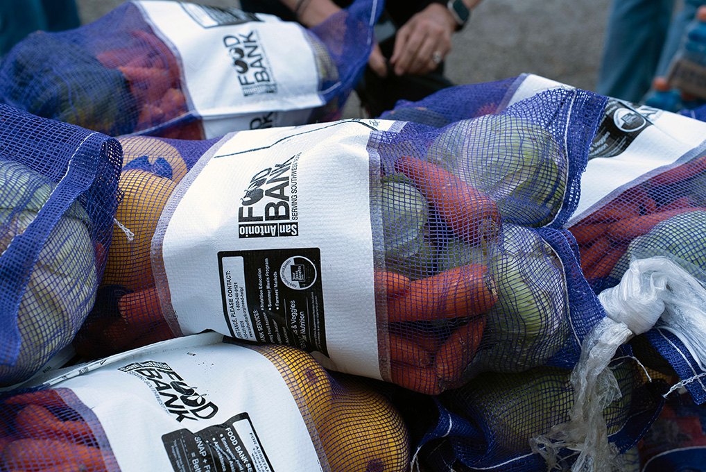 Blue sacks of carrots, potatoes, cabbage, squash and grapefruits.