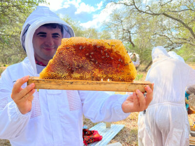 Ferhat Ozturk holds a large honey comb with two hands while wearing beekeeping gear.