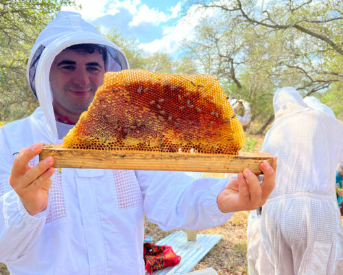 Ferhat Ozturk holds a large honey comb with two hands while wearing beekeeping gear.