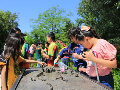Dozens of children gather together to observe a model of a park.