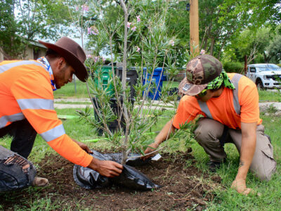 Two men in orange safety shirts on kneeled down on the ground as they plant a tree.
